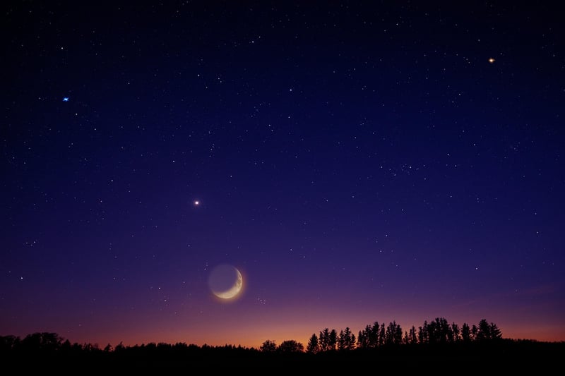 Moonlit Night